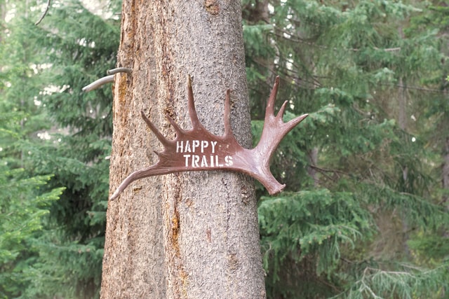 Antler attached to a tree with the message, Happy Trails